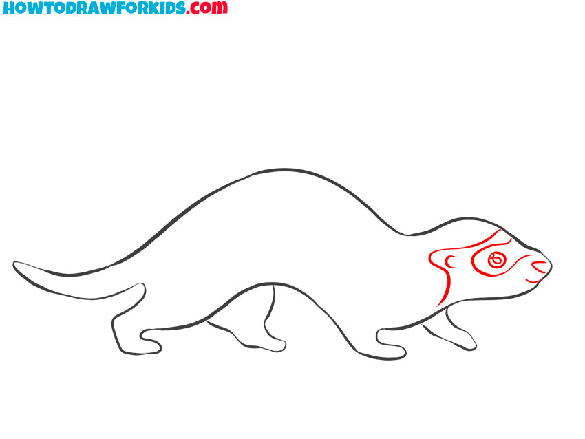 how to draw a cute cartoon ferret