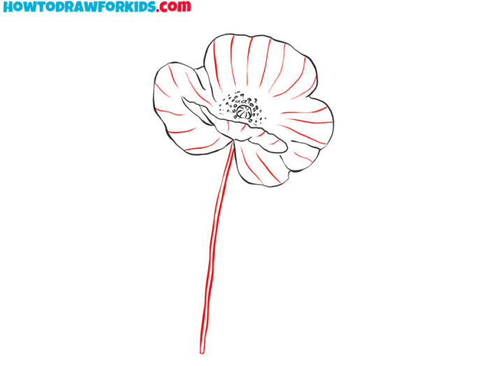 How to Draw an Easy Poppy Flower Easy Drawing Tutorial For Kids