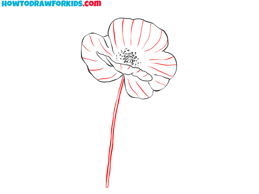 how to draw a realistic poppy flower step by step