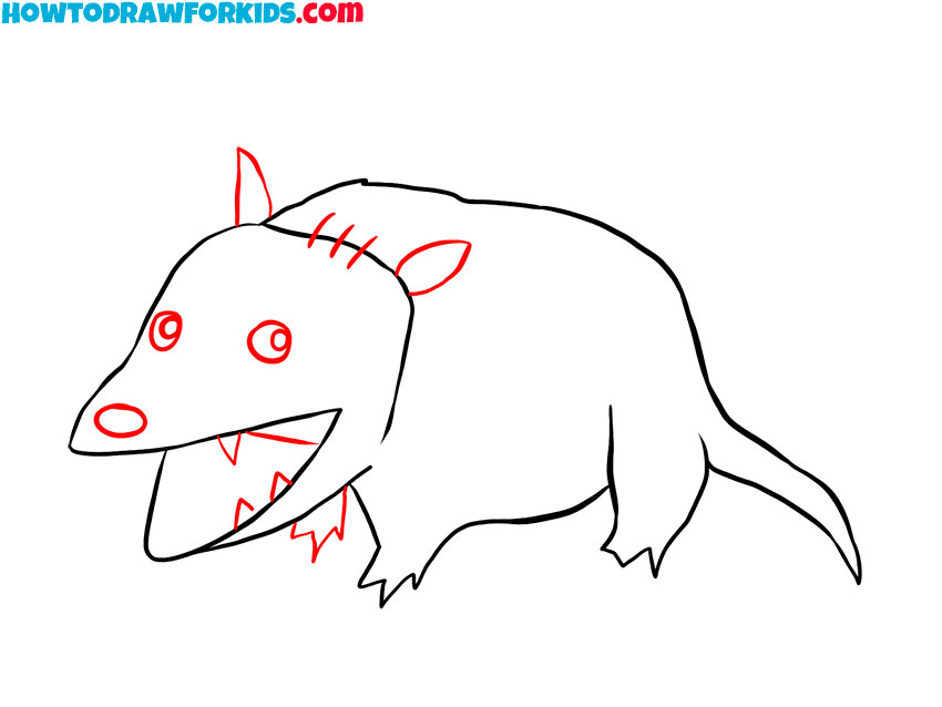 opossum drawing guide