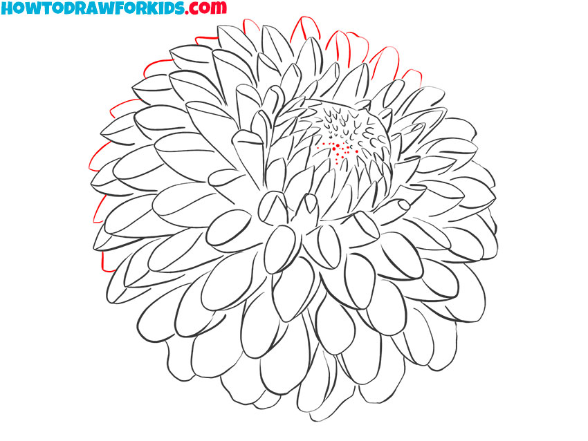 drawing dahlia flower