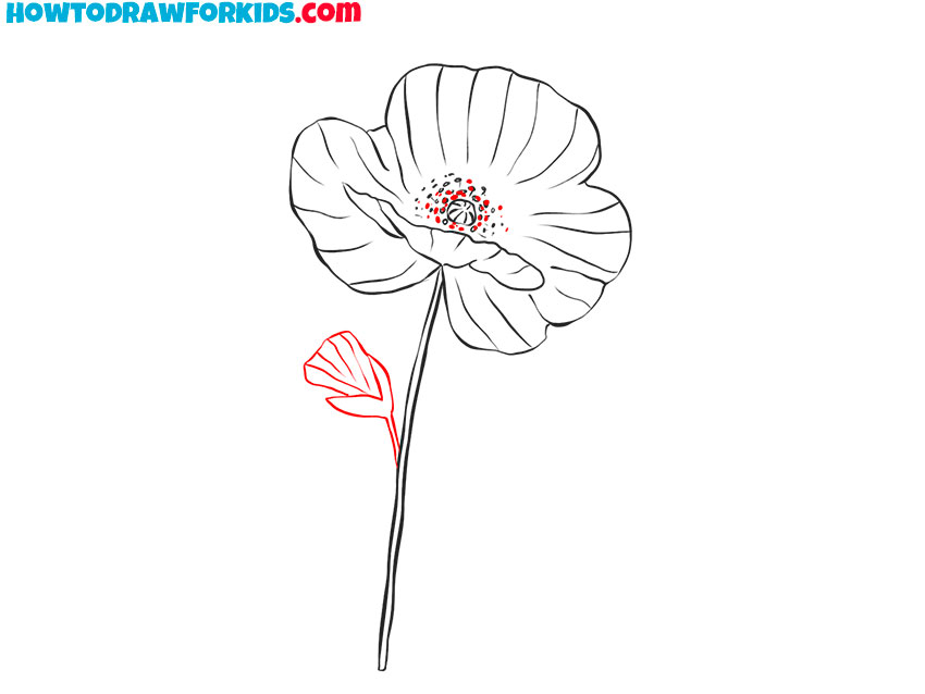 how to draw a realistic poppy flower
