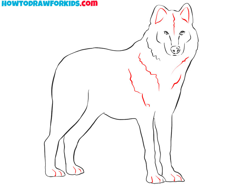 realistic sketch wolf drawing