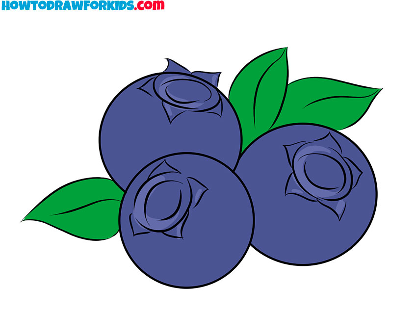 blueberry drawing simple