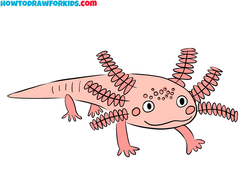 how to draw a realistic axolotl step by step