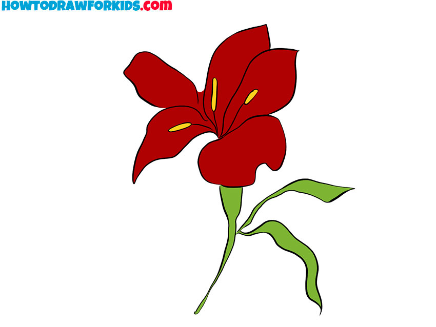 how to draw a simple lily