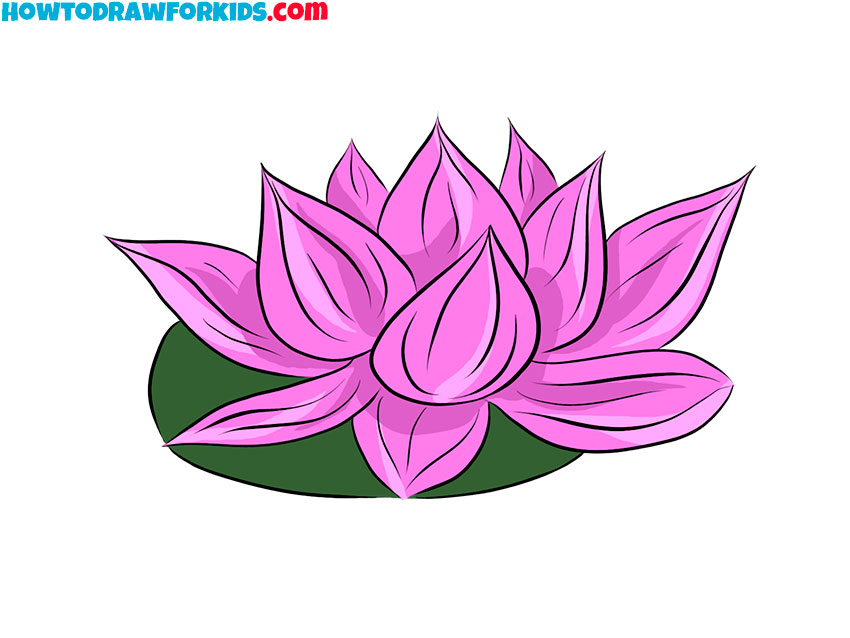 how to draw lotus color