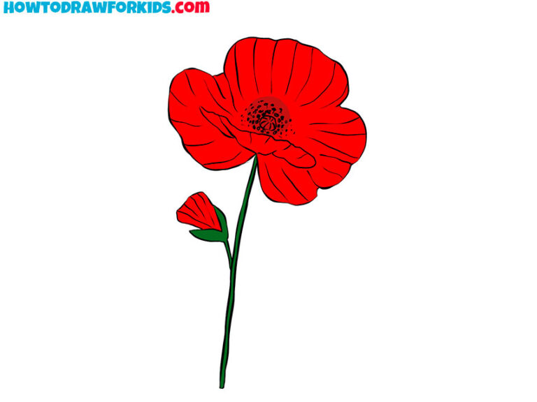 How to Draw an Easy Poppy Flower - Easy Drawing Tutorial For Kids