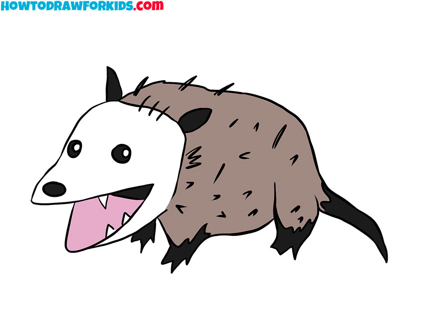 opossum drawing for kindergarten