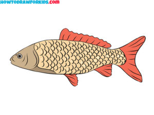 How to Draw a Realistic Fish - Easy Drawing Tutorial For Kids