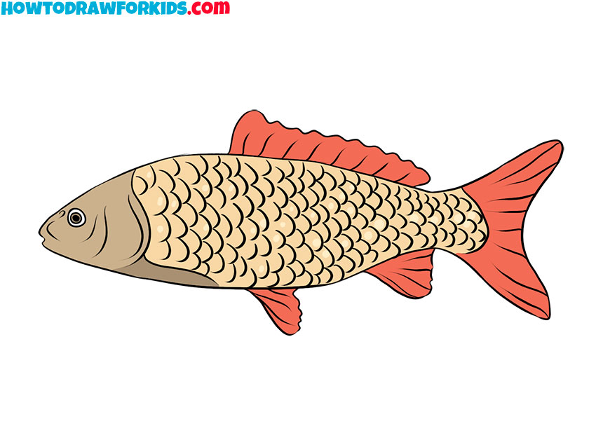 realistic fish sketch