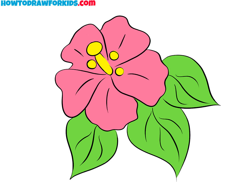 tropical flower drawing lesson