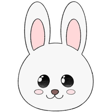How to Draw a Rabbit Face
