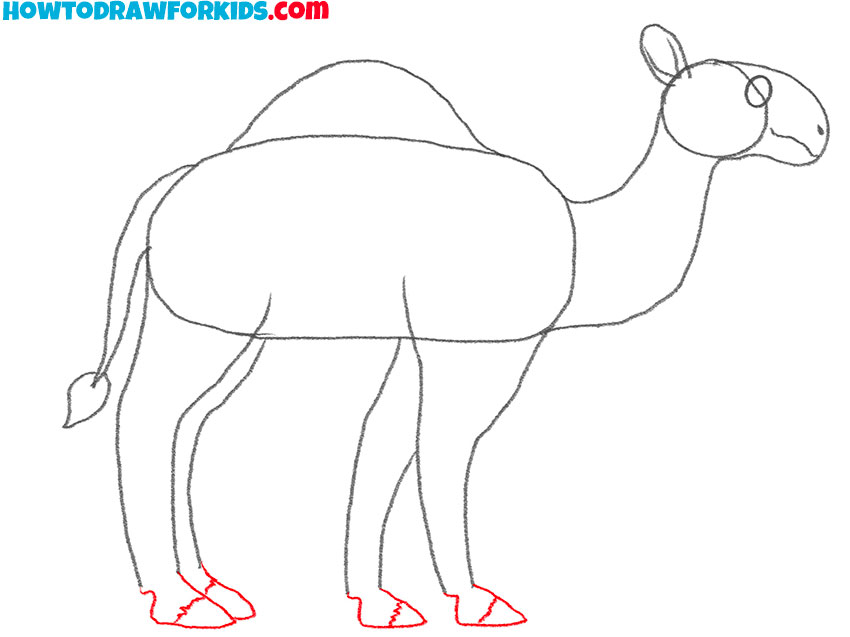 a camel drawing tutorial