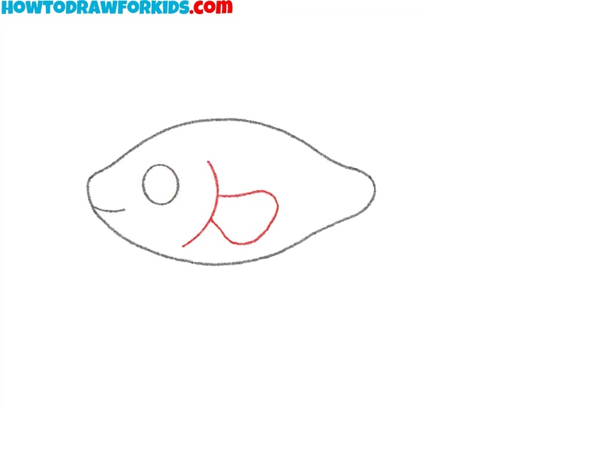 Sketch the gill and small side fin