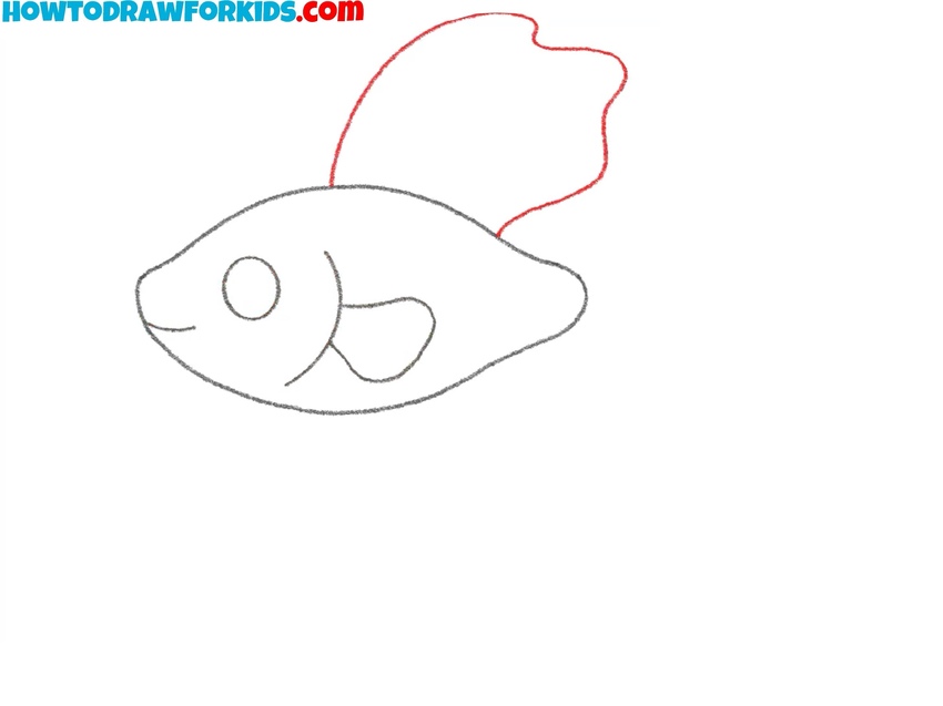 Draw the betta fish dorsal fin