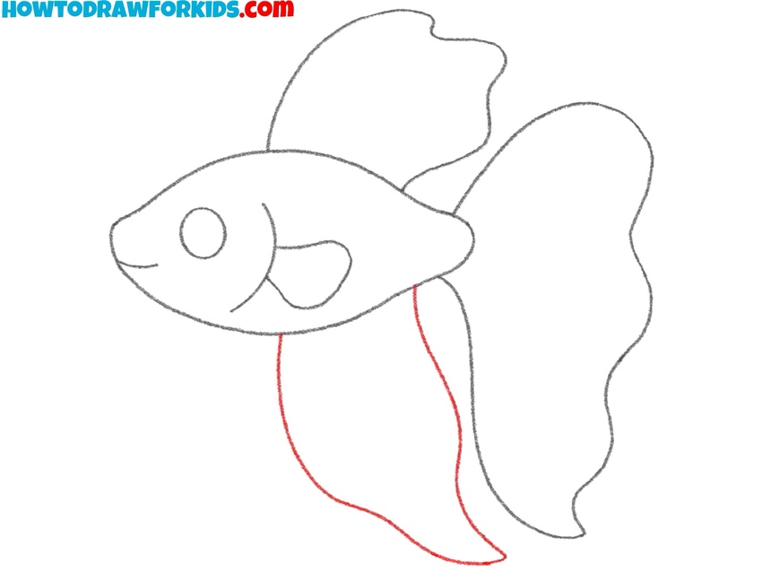 Sketch the bottom fin of the fish