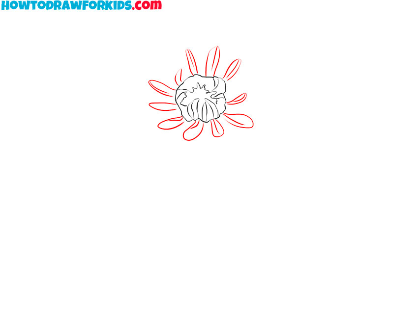 Draw the first chrysanthemum petal ring