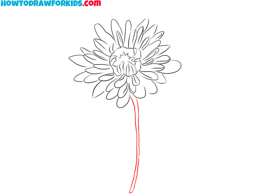 Sketch the long stem of the flower