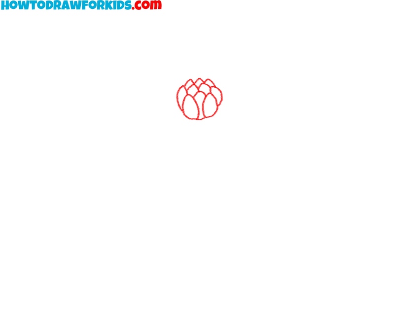 Sketch the flower core