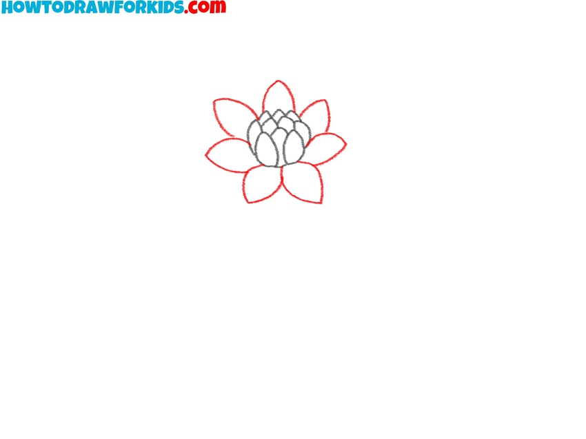 Sketch the second row of petals