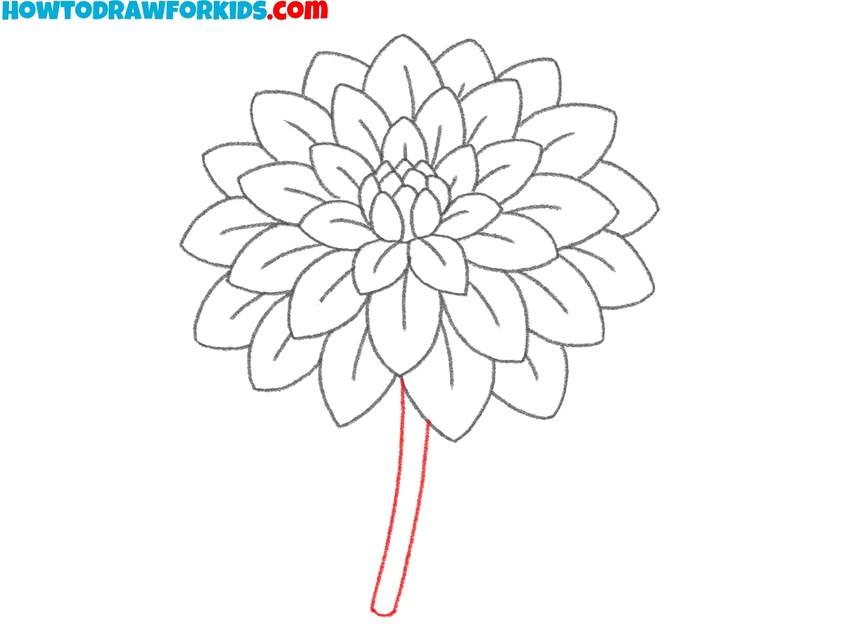 Draw the dahlia stem