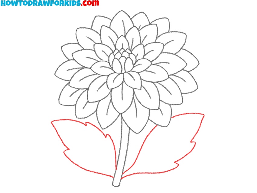 Sketch the leaves below bloom