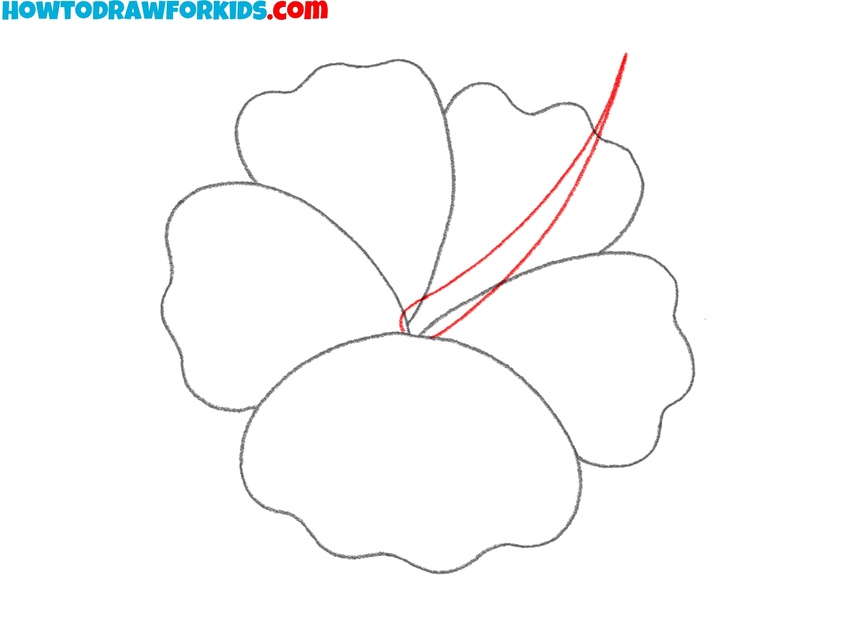 Sketch the flower stamen shape