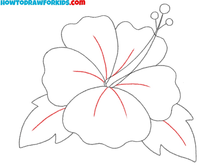 Sketch thin petal and leaf veins