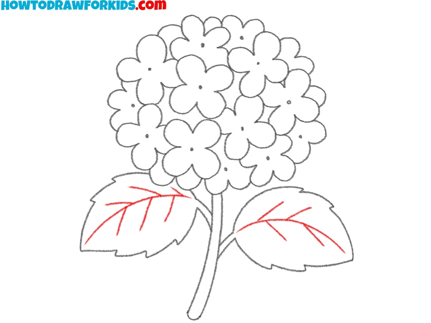 Outline the leaf veins