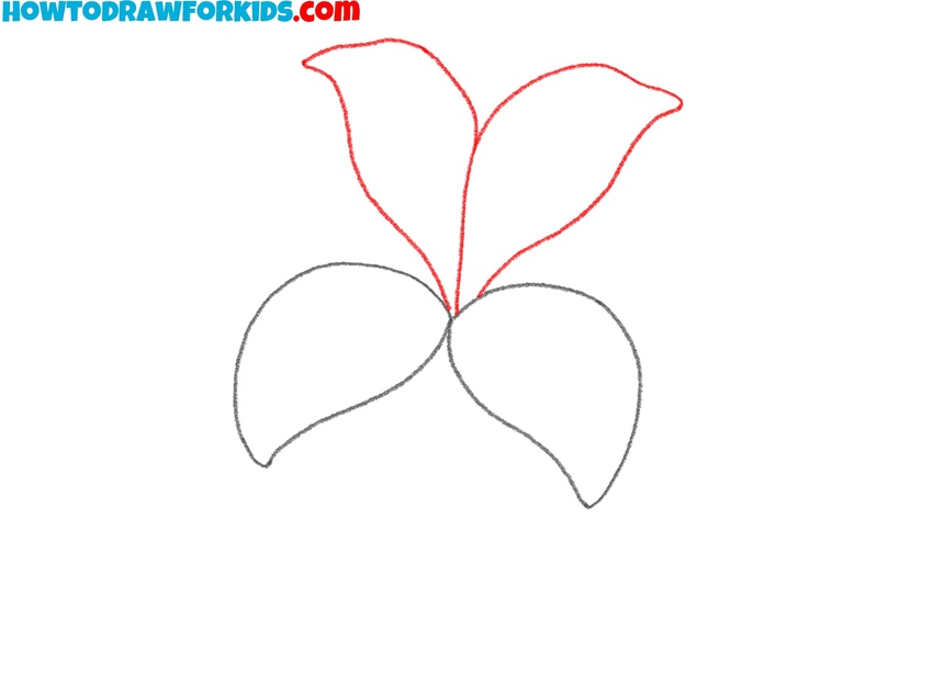 Add another pair of petals