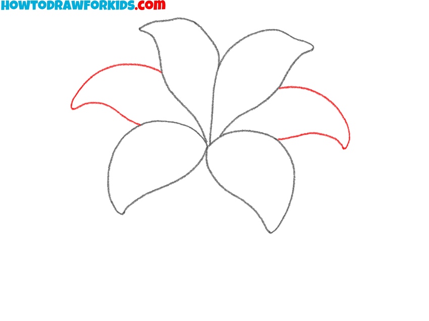 Place the final petal shapes