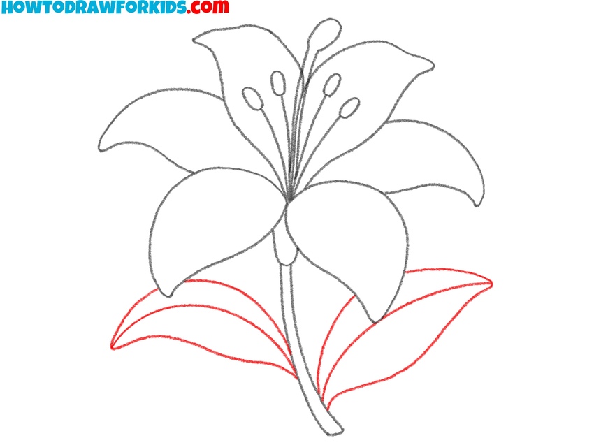 Sketch the leaf shapes