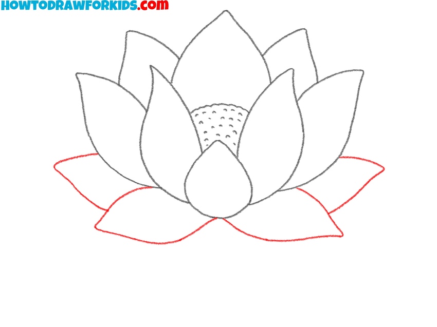 Illustrate the outer row of petals