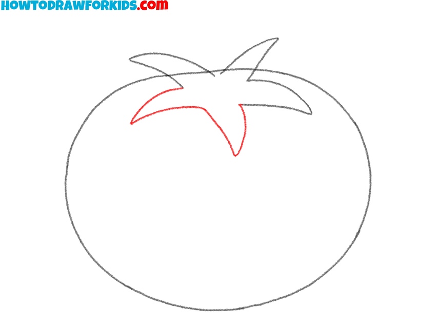 Sketch the rest of the sepals