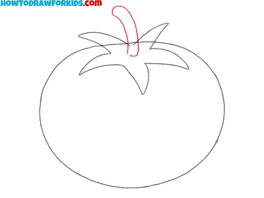 Draw the tomato stem