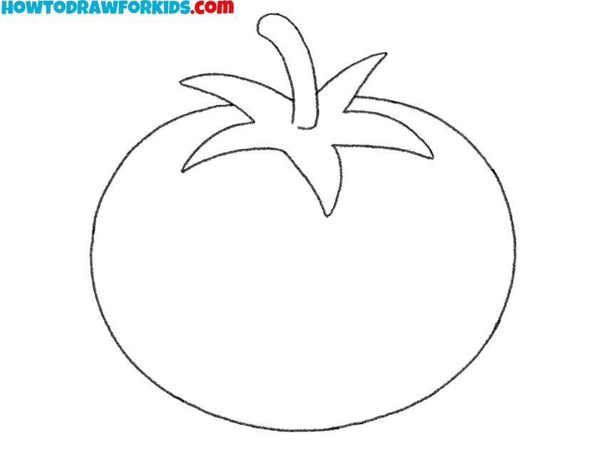 Correct the vegetable’s sketch lines