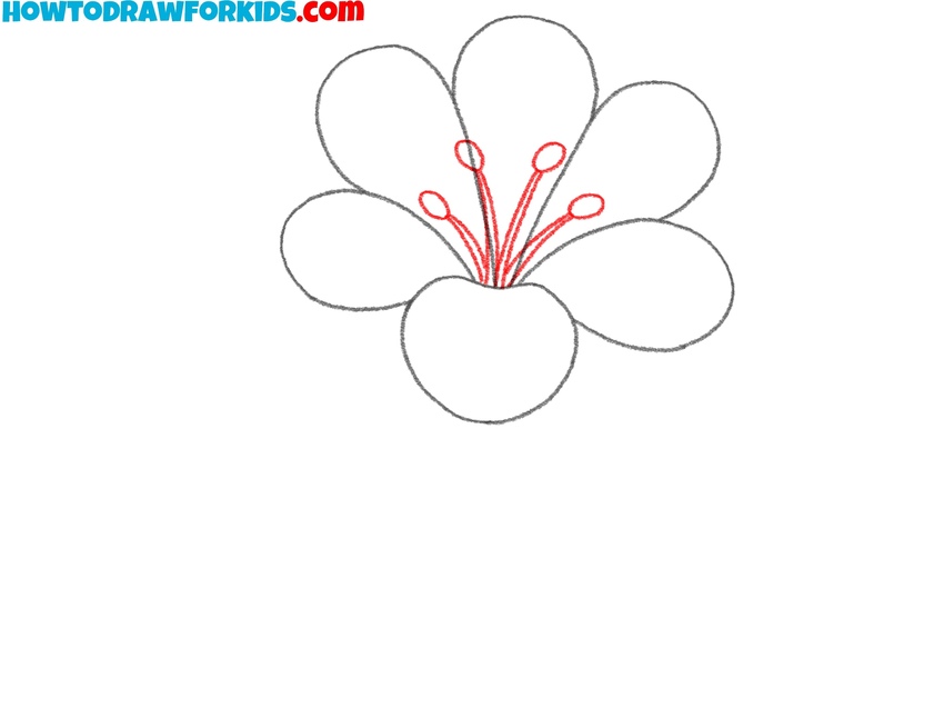 Draw stamens in the center of the tropical flower