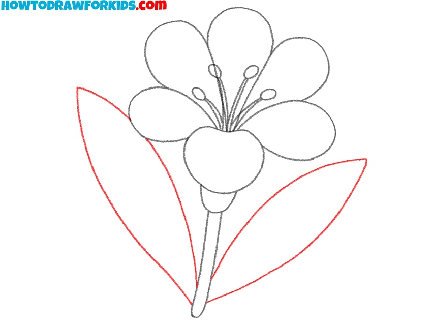 Place leaves on each side of the stem