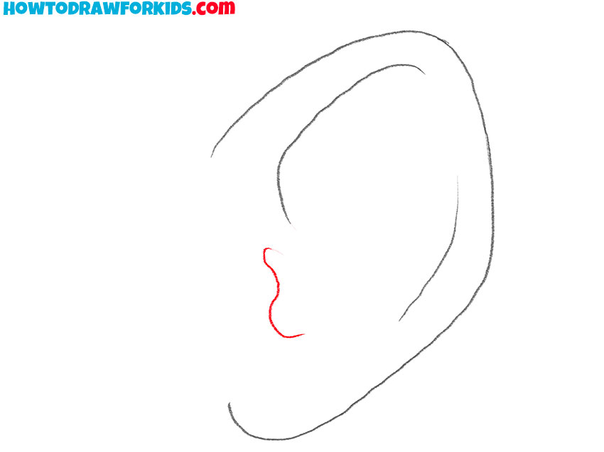 Sketch the tragus detail