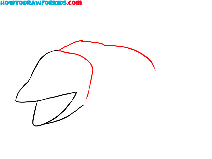 Sketch the top of the head and back