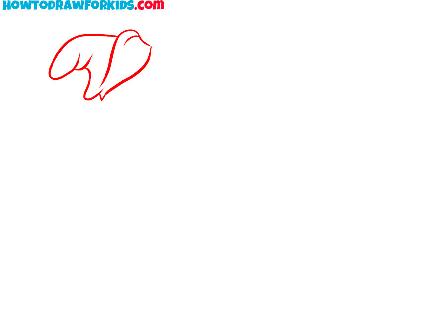 Outline the elephant’s signature hat