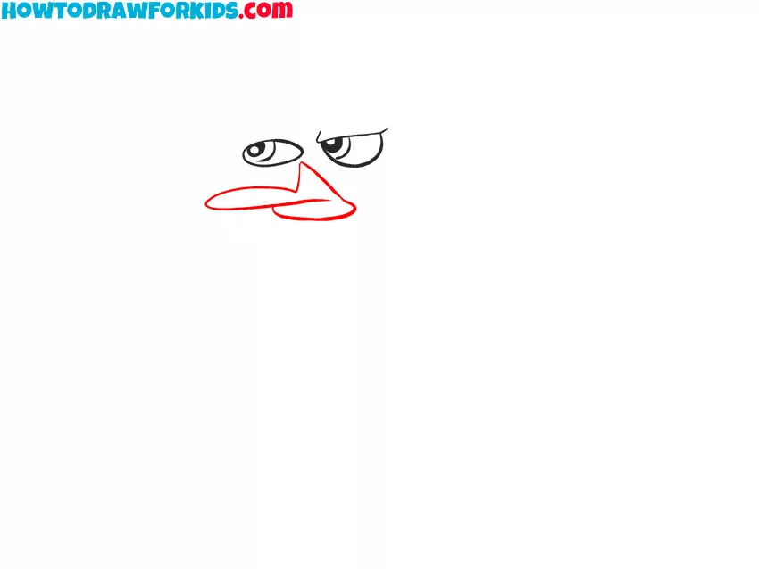 Draw the broad platypus bill