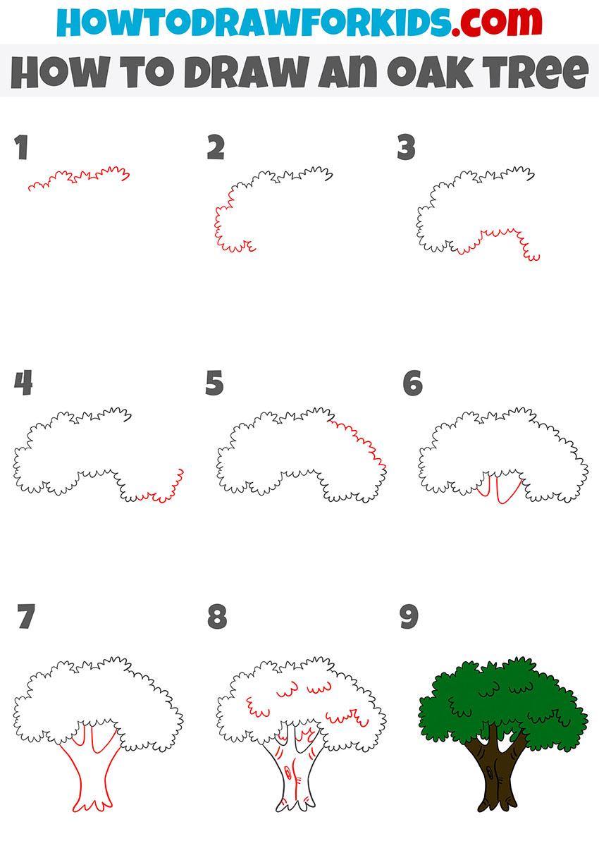 easy oak tree drawing tutorial