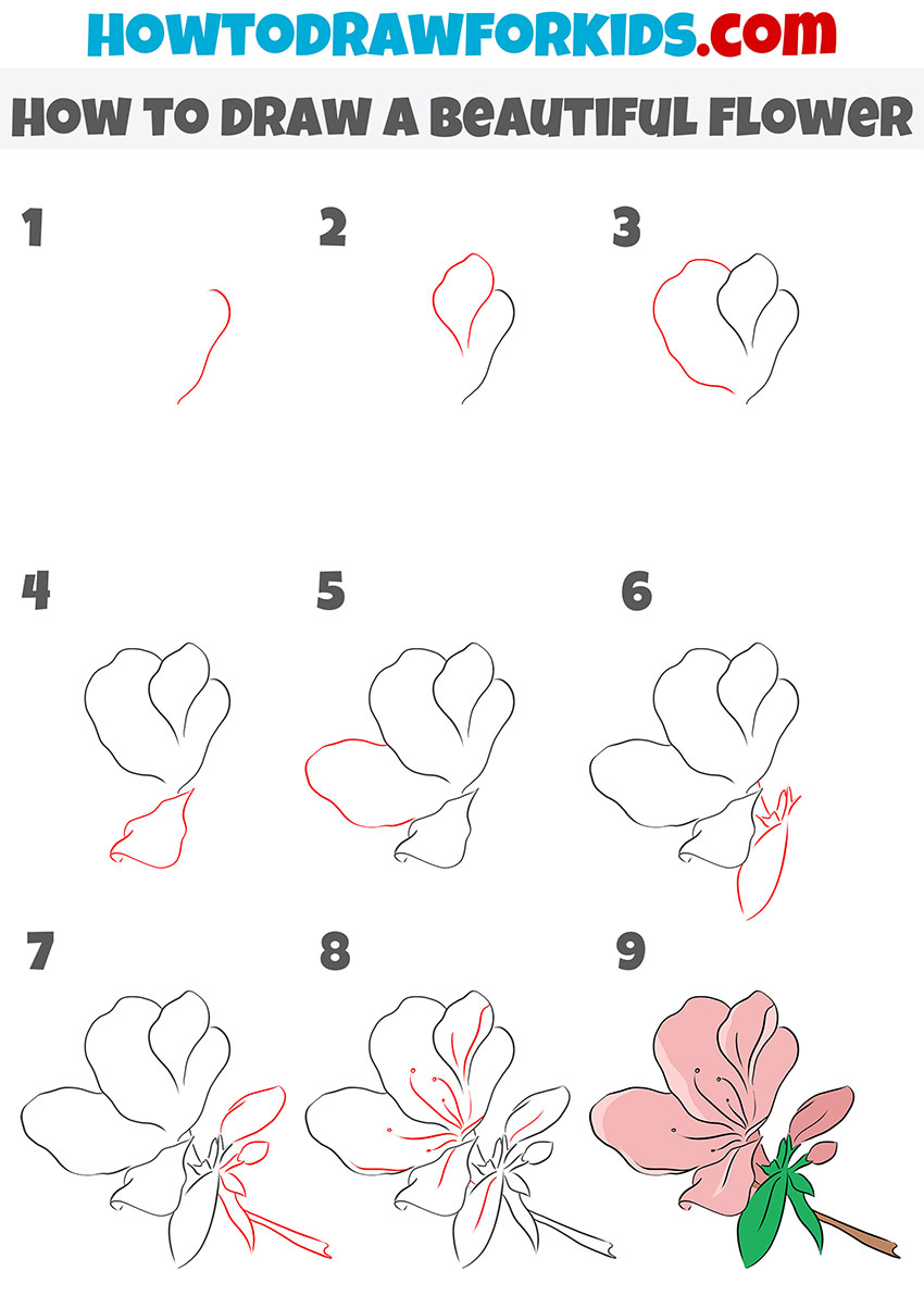 how to draw a beautiful flower step by step