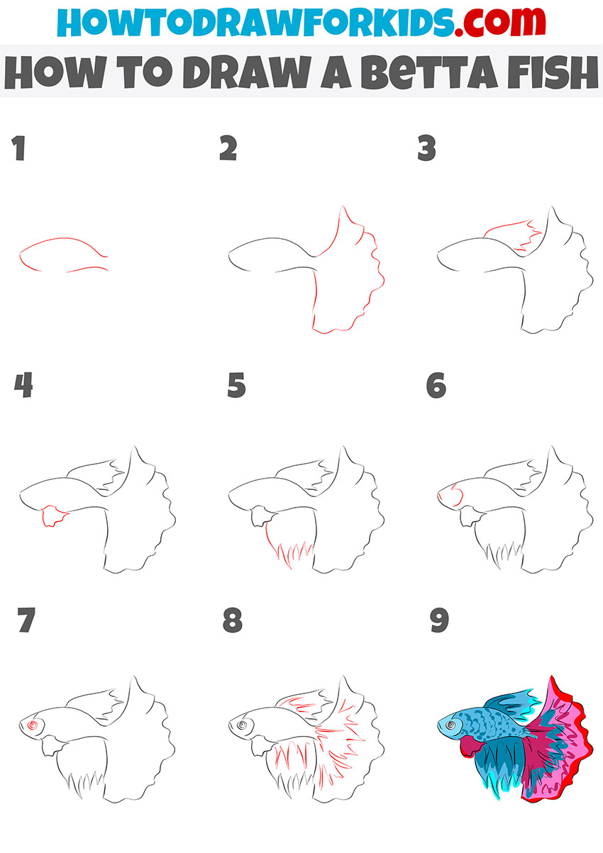how to draw a betta fish step by step