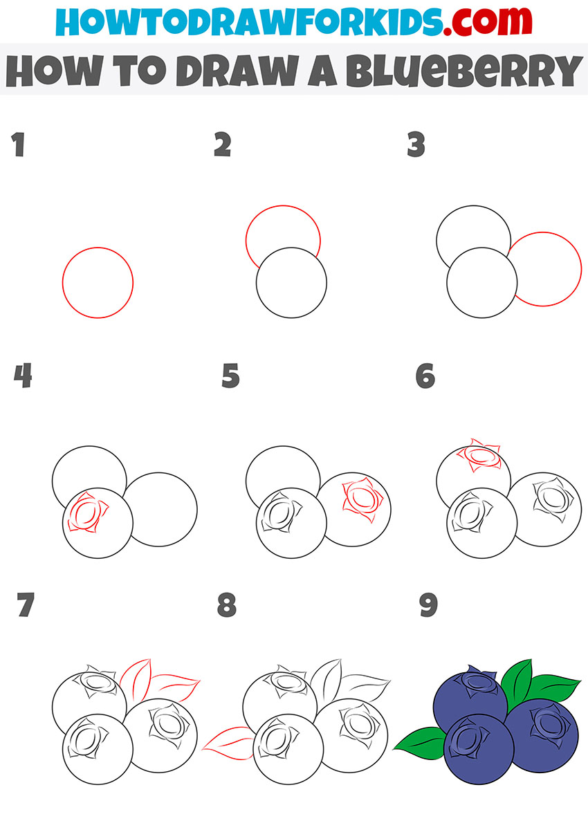 how to draw a blueberry step by step