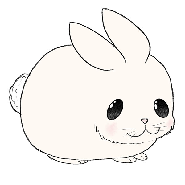 bunny drawing