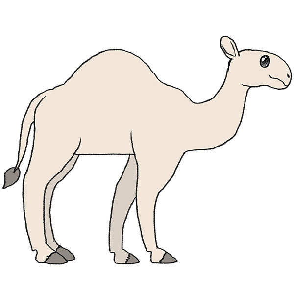 Cute camel mascot 4530367 Vector Art at Vecteezy