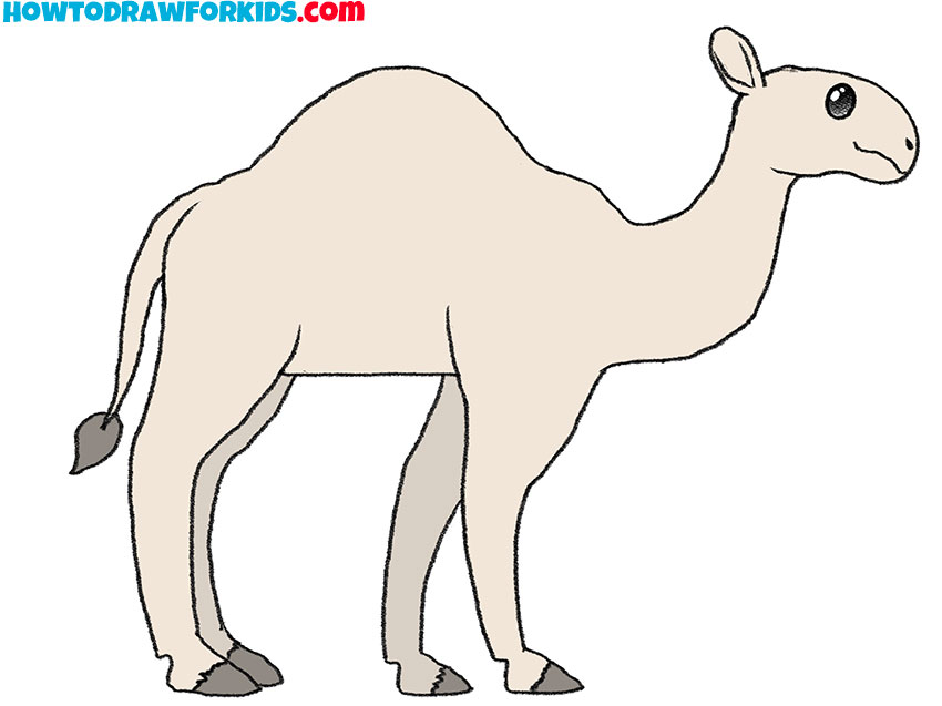 Coloring Pages | Best Camel Coloring Page For Kids